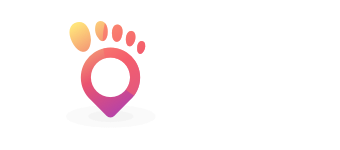 Vizi